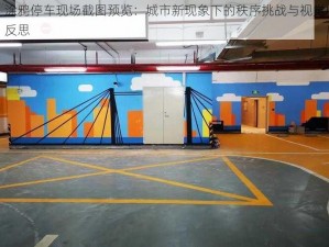 涂鸦停车现场截图预览：城市新现象下的秩序挑战与视觉反思