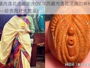 西藏肉莲花法器图片(探寻西藏肉莲花法器的神秘面纱——珍贵图片大放送)