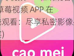 草莓视频APP在线观看(草莓视频 APP 在线观看：尽享私密影像盛宴)