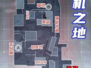 使命召唤手游攻略：坠机之地如何合理搭配装备以提升战斗效能