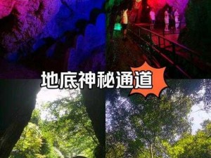 神秘通道入口搜索,神秘通道入口究竟在哪？如何进行搜索？