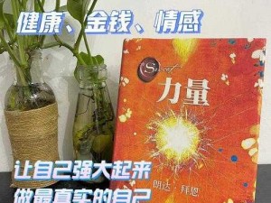 神医魔导攻略妹子的秘密法宝：提升吸引力、沟通与心灵疗愈的艺术之道