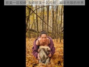 欧美一区视频_探索欧美一区视频：精彩无限的世界