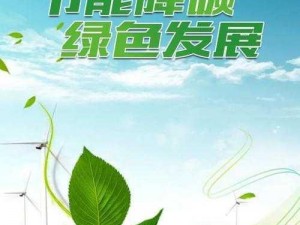 以一个木一个为中心，探寻绿色生态与可持续发展——共创美好未来