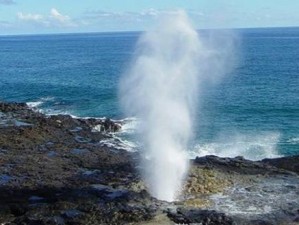 潮喷喷浆视频在线h—潮喷喷浆视频在线 h是否为成人视频？