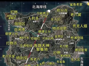 和平精英海岛地图各区域名称解析与位置分享：探索海岛地图命名的秘密