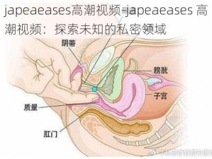 japeaeases高潮视频-japeaeases 高潮视频：探索未知的私密领域