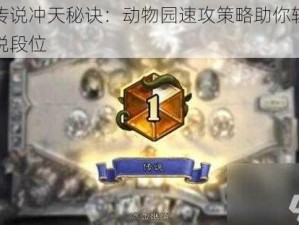 炉石传说冲天秘诀：动物园速攻策略助你轻松登顶传说段位