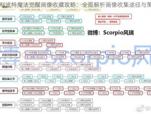 哈利波特魔法觉醒画像收藏攻略：全面解析画像收集途径与策略