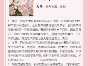 母单花的含义与现象解读：探寻单身女性的独特魅力与生活方式