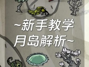 《饥荒单机版：探寻神秘月岛的生存挑战》