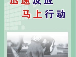 敏捷反应：瞬间决断，开启高效生活新模式