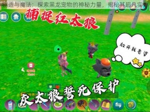 创造与魔法：探索黑龙宠物的神秘力量，揭秘其超凡实力