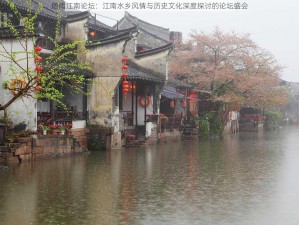 烟雨江南论坛：江南水乡风情与历史文化深度探讨的论坛盛会