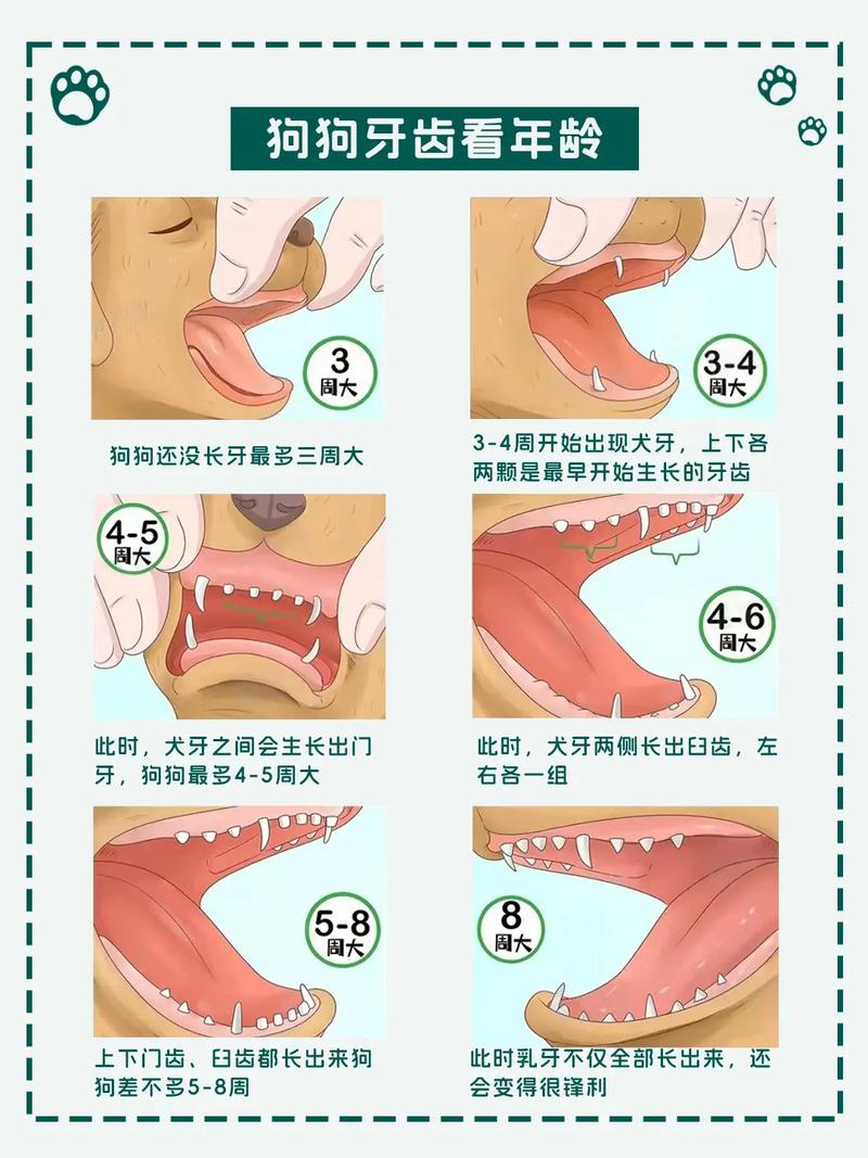 adc 年龄确认大驾光临入口，提供最全面的个人信息保护