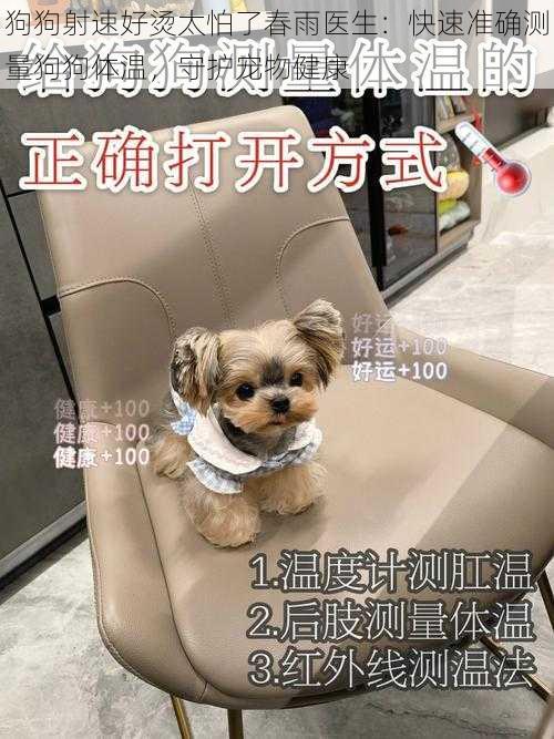 狗狗射速好烫太怕了春雨医生:快速准确测量狗狗体温,守护宠物健康