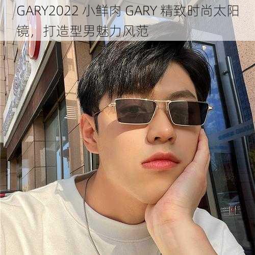 GARY2022 小鲜肉 GARY 精致时尚太阳镜,打造型男魅力风范