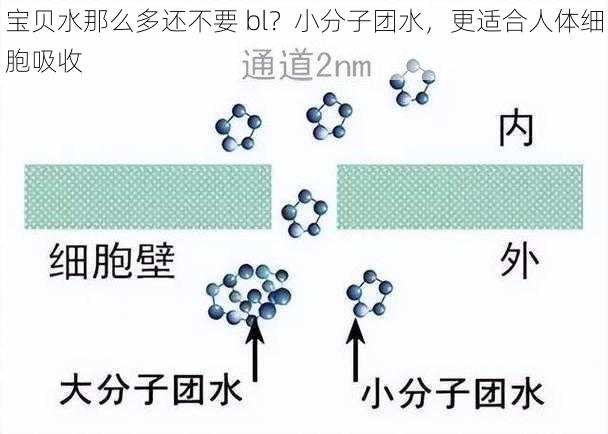 宝贝水那么多还不要 bl?小分子团水,更适合人体细胞吸收