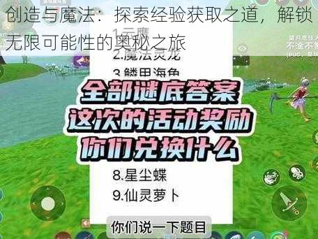 创造与魔法：探索经验获取之道，解锁无限可能性的奥秘之旅