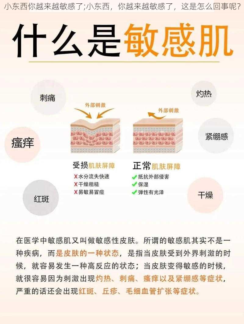 小东西你越来越敏感了;小东西，你越来越敏感了，这是怎么回事呢？