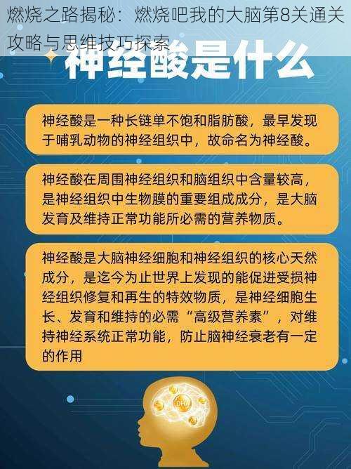 燃烧之路揭秘：燃烧吧我的大脑第8关通关攻略与思维技巧探索