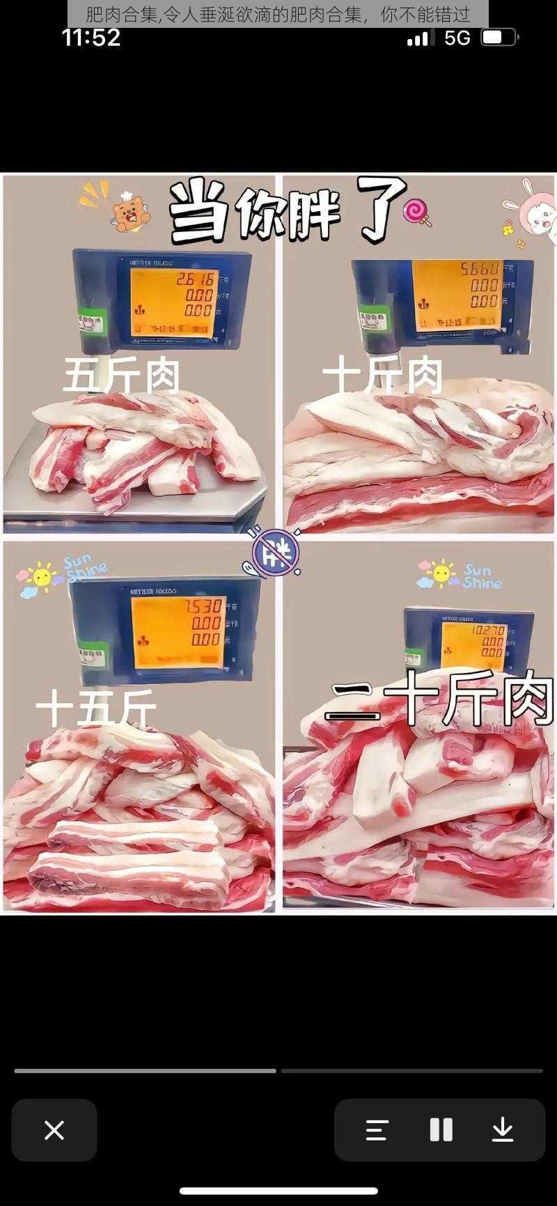 肥肉合集,令人垂涎欲滴的肥肉合集，你不能错过