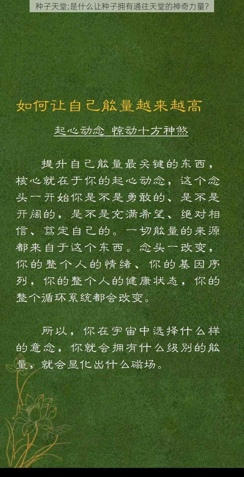 种子天堂;是什么让种子拥有通往天堂的神奇力量？