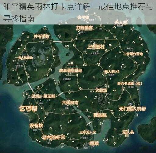 和平精英雨林打卡点详解：最佳地点推荐与寻找指南