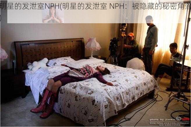 明星的发泄室NPH(明星的发泄室 NPH：被隐藏的秘密角落)