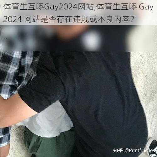 体育生互㖭Gay2024网站,体育生互㖭 Gay2024 网站是否存在违规或不良内容？