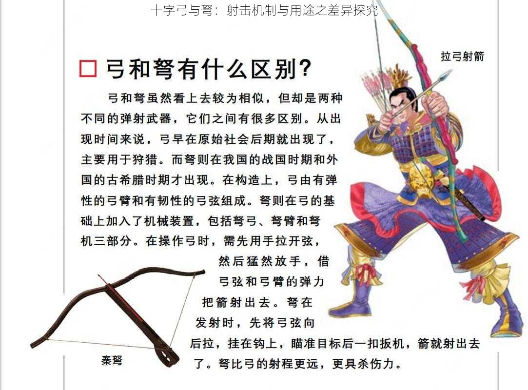 十字弓与弩：射击机制与用途之差异探究