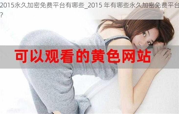 2015永久加密免费平台有哪些_2015 年有哪些永久加密免费平台？