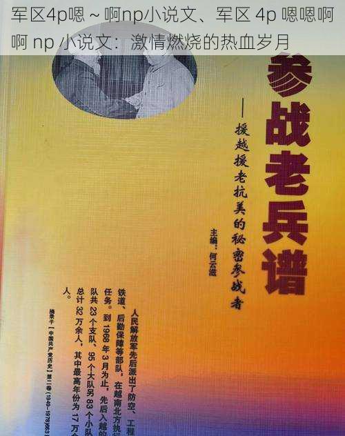 军区4p嗯～啊np小说文、军区 4p 嗯嗯啊啊 np 小说文：激情燃烧的热血岁月