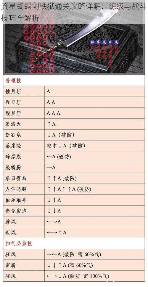 流星蝴蝶剑铁狱通关攻略详解：练级与战斗技巧全解析