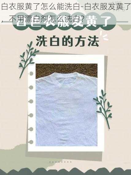 白衣服黄了怎么能洗白-白衣服发黄了，不用漂白剂怎么洗白？