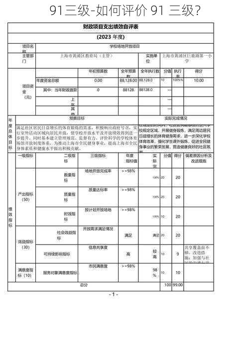 91三级-如何评价 91 三级？