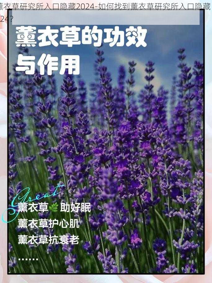 薰衣草研究所入口隐藏2024-如何找到薰衣草研究所入口隐藏 2024？