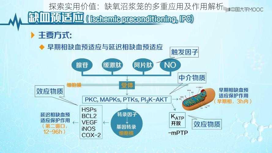 探索实用价值：缺氧沼浆笼的多重应用及作用解析