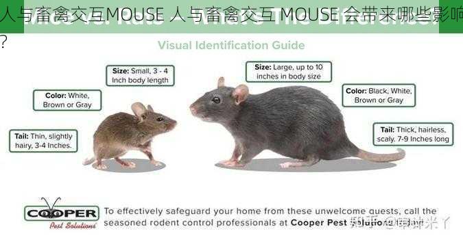 人与畜禽交互MOUSE 人与畜禽交互 MOUSE 会带来哪些影响？