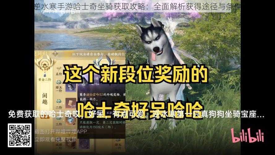 逆水寒手游哈士奇坐骑获取攻略：全面解析获得途径与条件