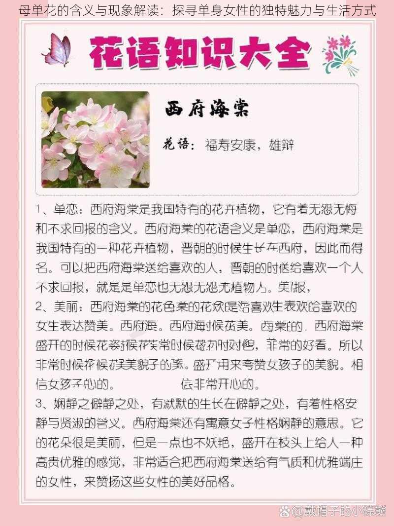 母单花的含义与现象解读：探寻单身女性的独特魅力与生活方式