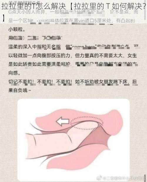 拉拉里的T怎么解决【拉拉里的 T 如何解决？】