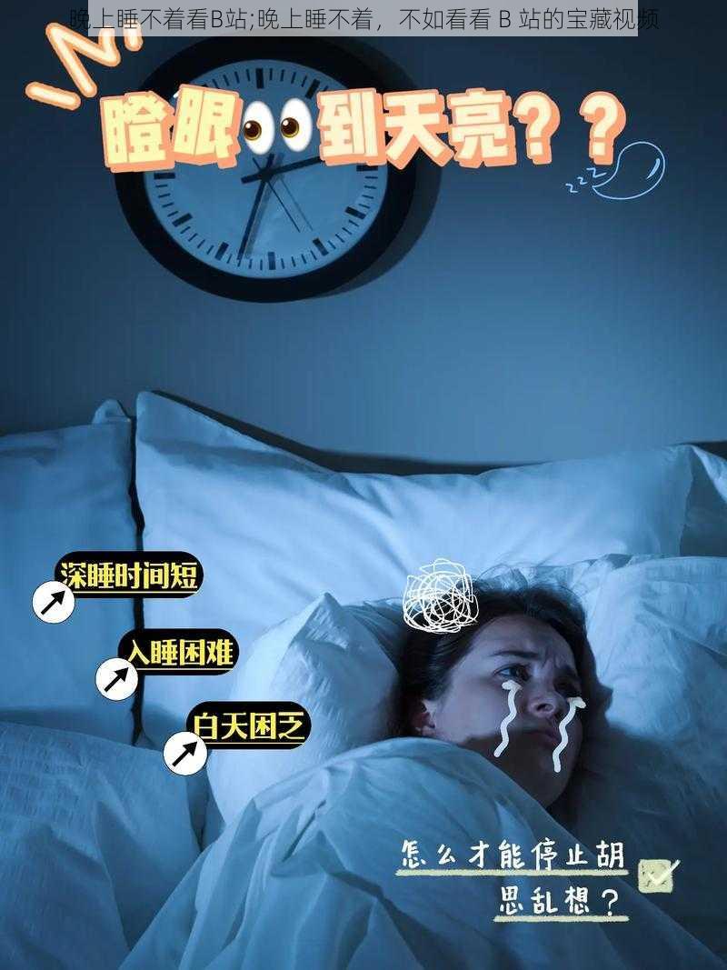 晚上睡不着看B站;晚上睡不着，不如看看 B 站的宝藏视频