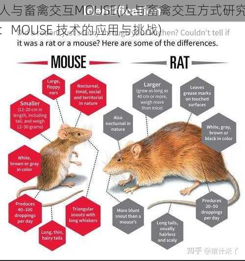 人与畜禽交互MOUSE(人与畜禽交互方式研究：MOUSE 技术的应用与挑战)