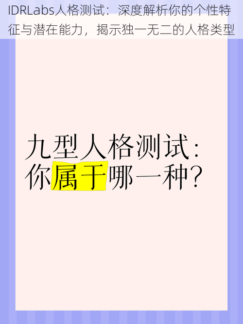 IDRLabs人格测试：深度解析你的个性特征与潜在能力，揭示独一无二的人格类型