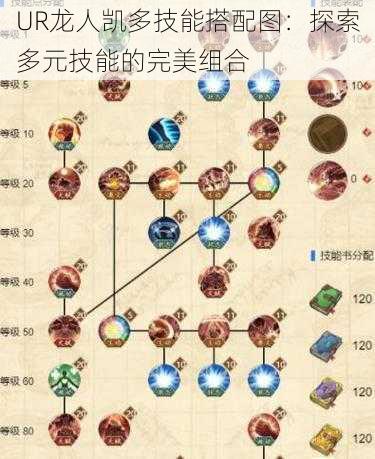 UR龙人凯多技能搭配图：探索多元技能的完美组合