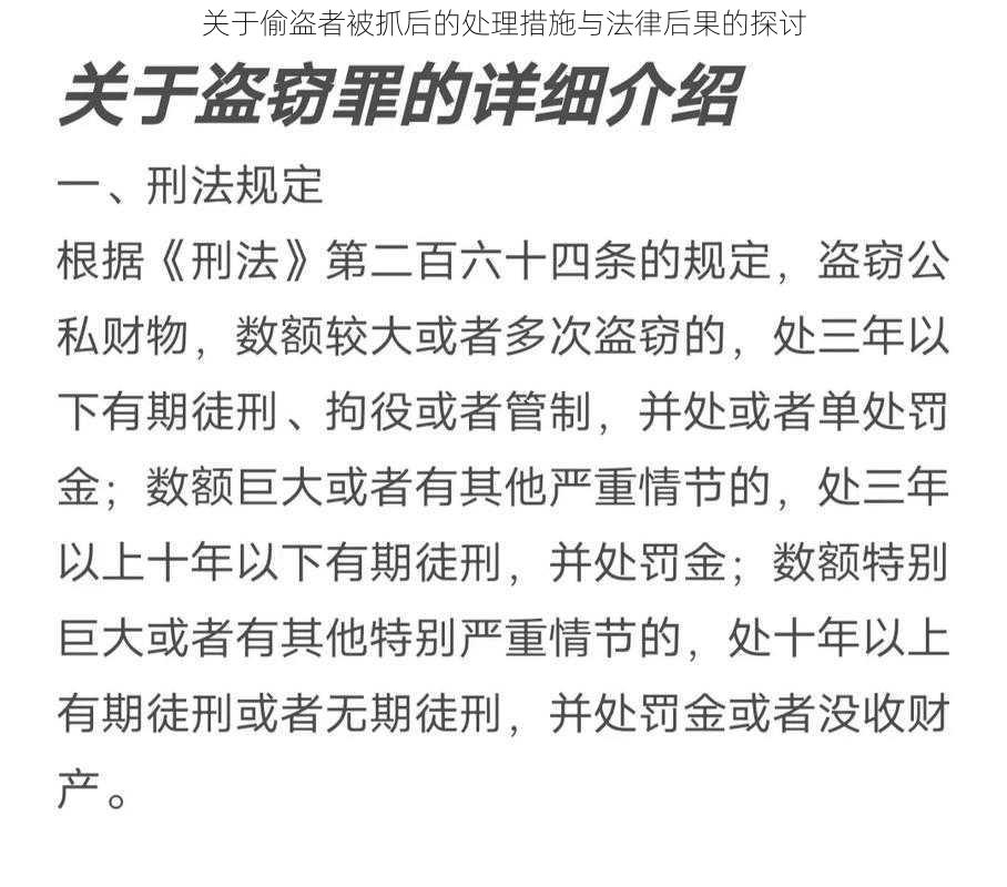 关于偷盗者被抓后的处理措施与法律后果的探讨