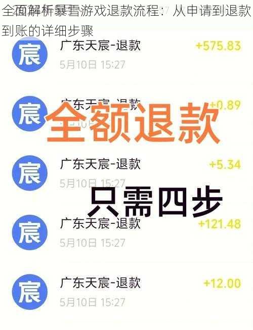 全面解析暴雪游戏退款流程：从申请到退款到账的详细步骤