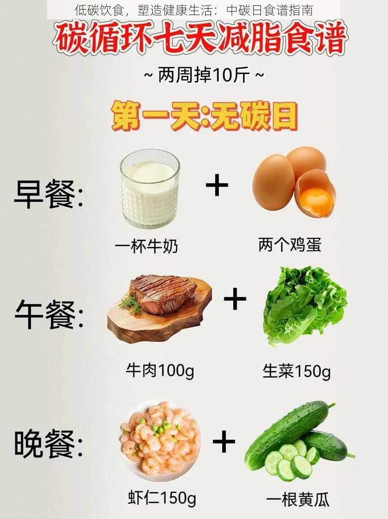 低碳饮食，塑造健康生活：中碳日食谱指南