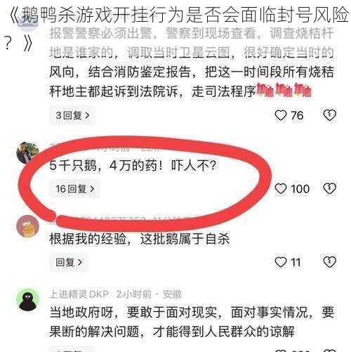 《鹅鸭杀游戏开挂行为是否会面临封号风险？》